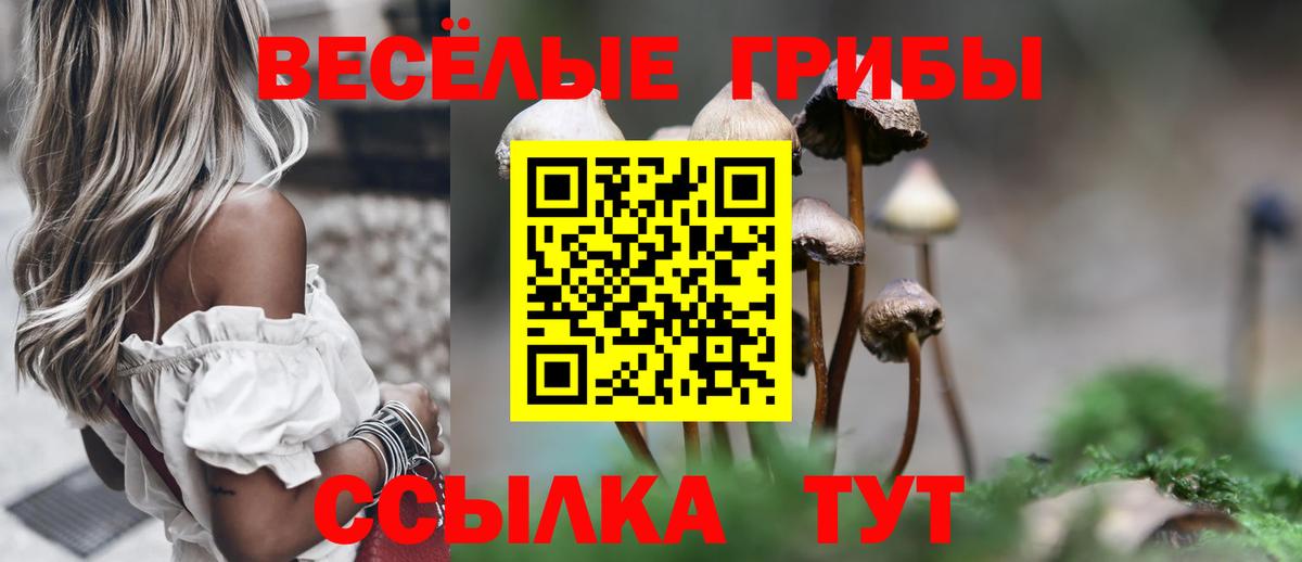 Алексеевка  Псилоцибиновые грибы прущие грибы  Вход с VPN 